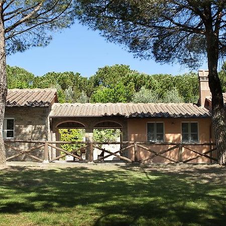 Podere Poggio Mendico 아레초 외부 사진