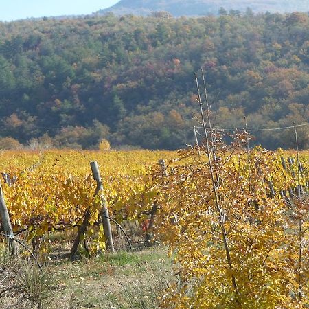 Podere Poggio Mendico 아레초 외부 사진
