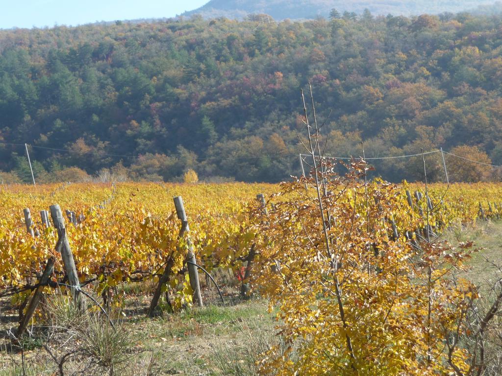 Podere Poggio Mendico 아레초 외부 사진